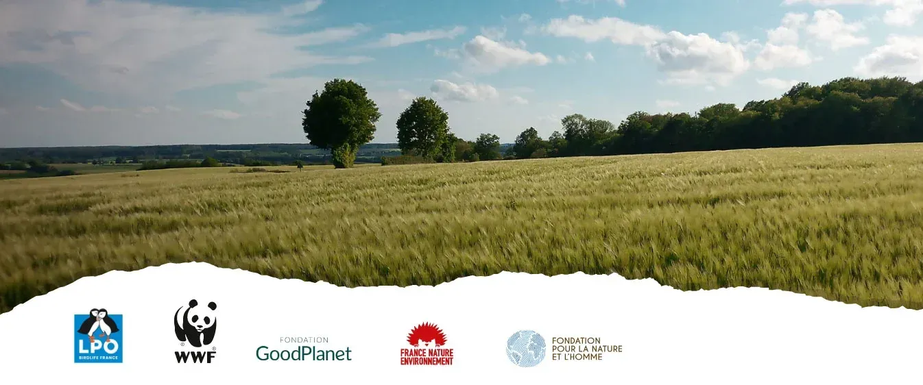 Rétrospective sur une année de bonnes actions pour la planète !